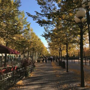Kungsan e1550504240975