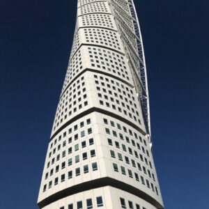 torso e1550504102904