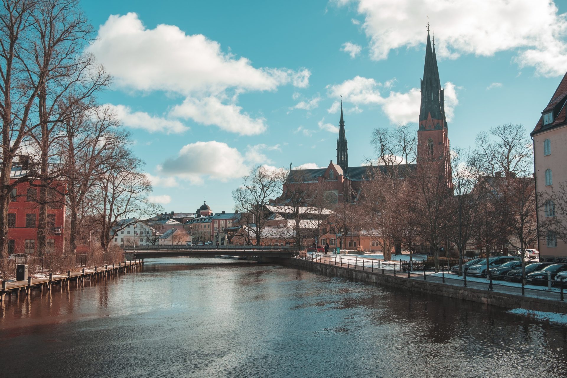 Skype intervju Švedska Sweden interview