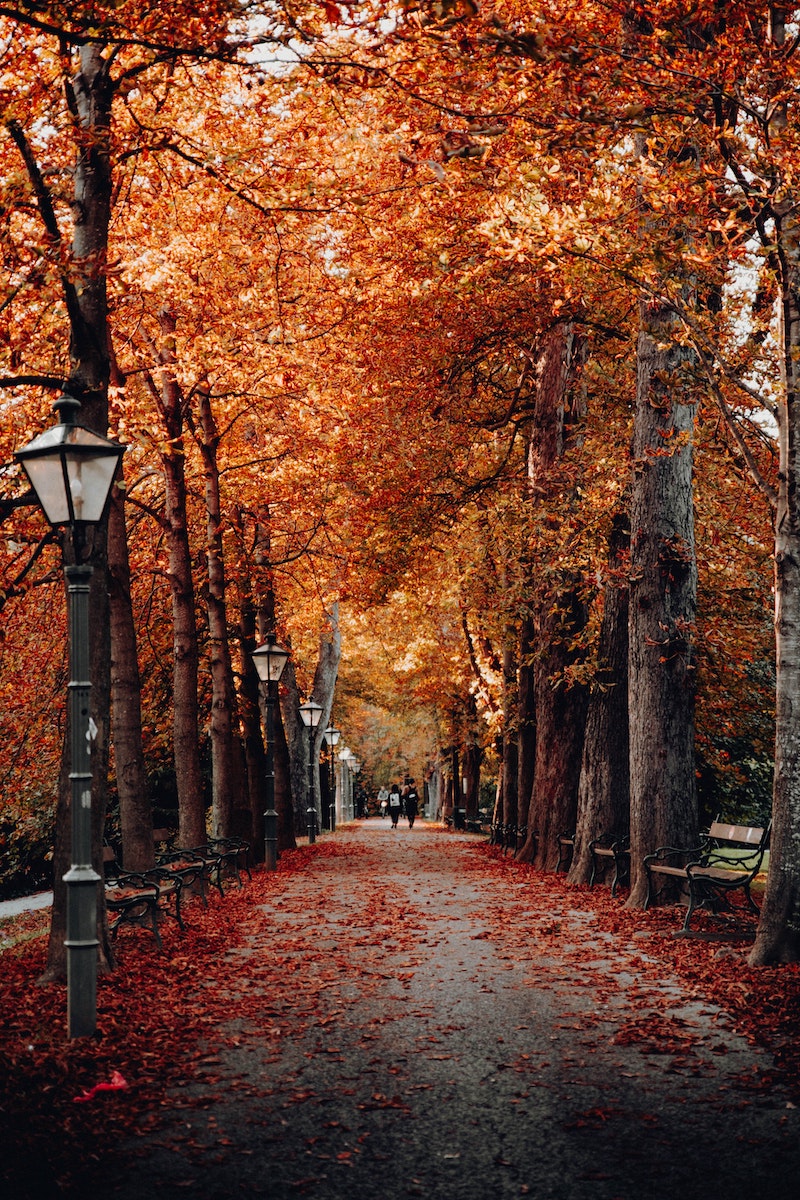 austria2
