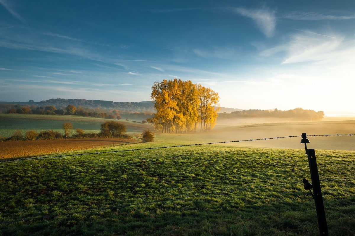living in belgium 3