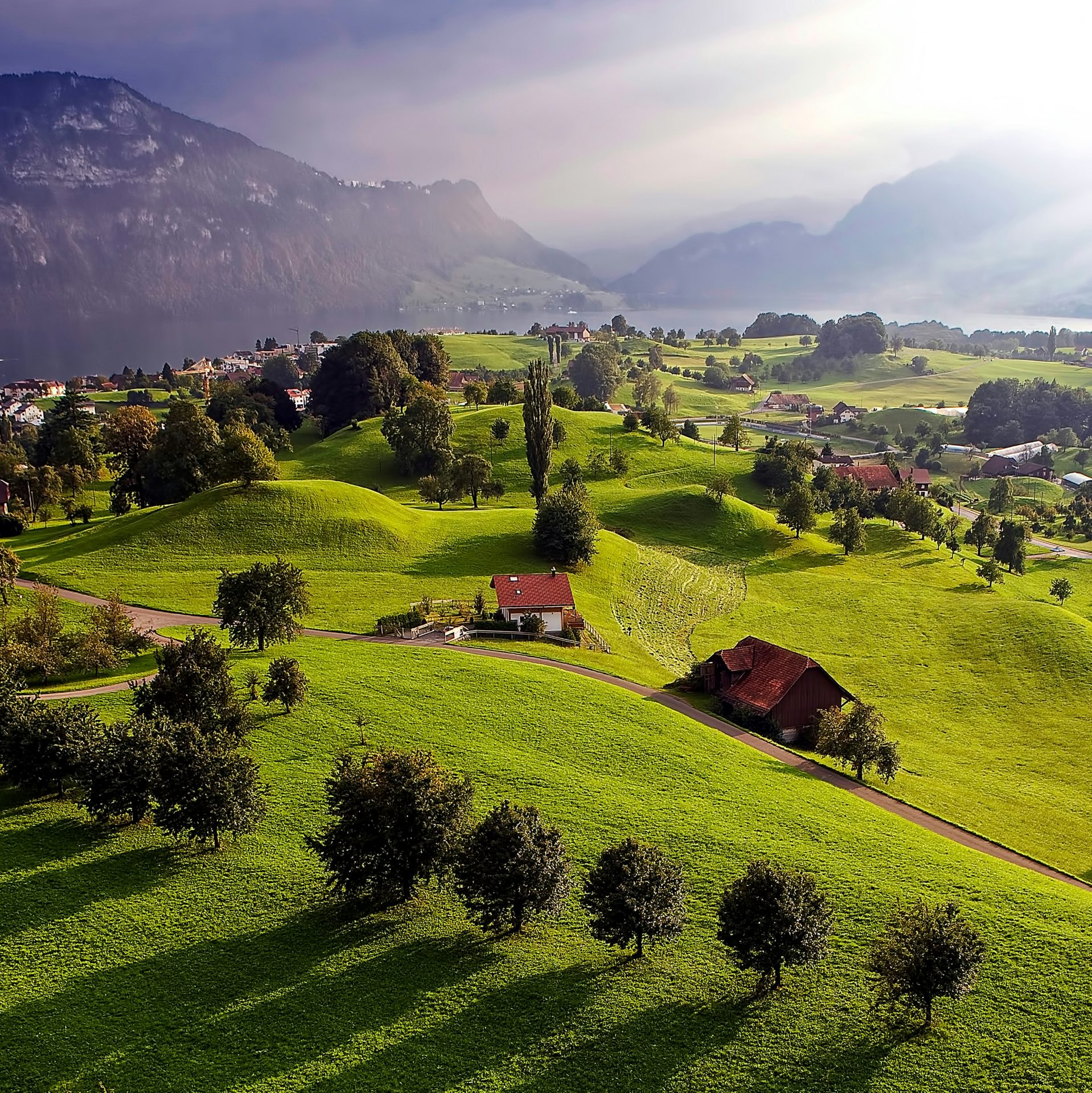 Livada u Švicarskoj s nekoliko kućica