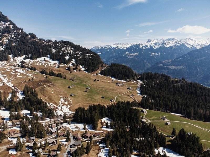 Meadow in Switzerland