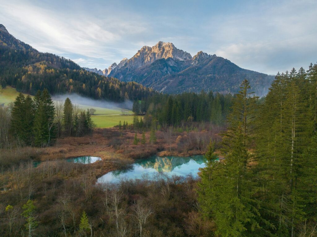 Rezervat u Sloveniji